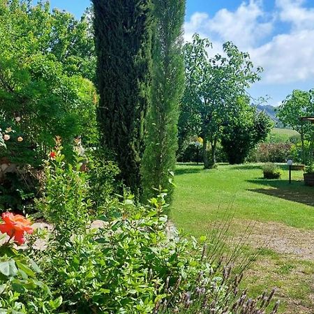 Chianti - Lovely Cottage With Parking & Garden! Castelnuovo Berardenga Exteriör bild