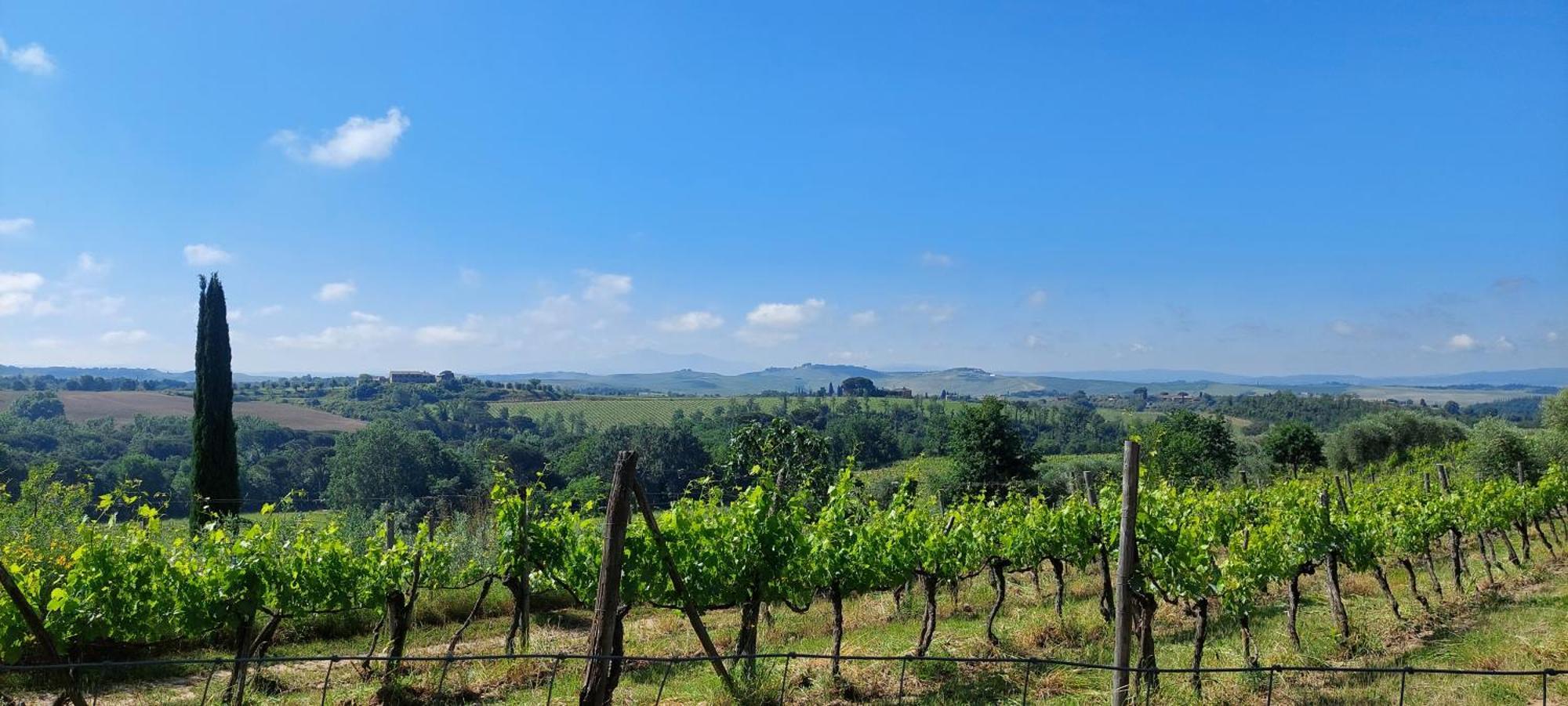 Chianti - Lovely Cottage With Parking & Garden! Castelnuovo Berardenga Exteriör bild